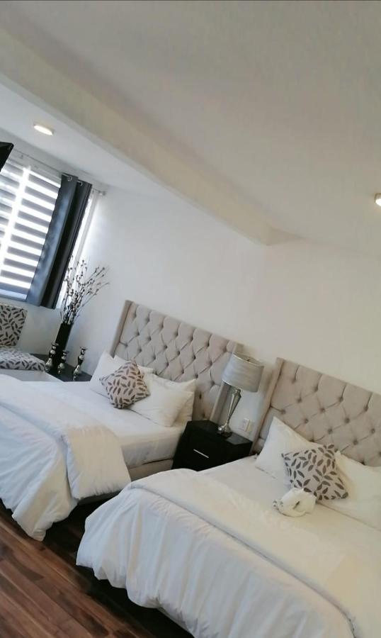 Hotel M Concepto 4*