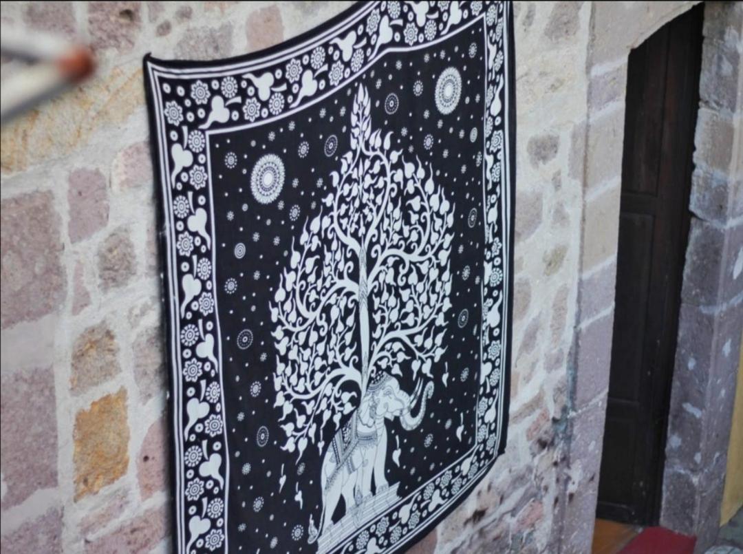 The Only Backpackers Hostal