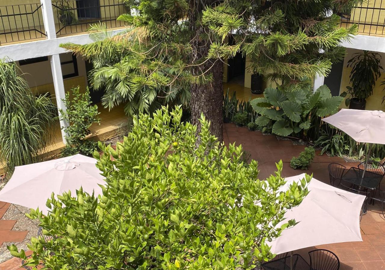 Allende Hotel 3*