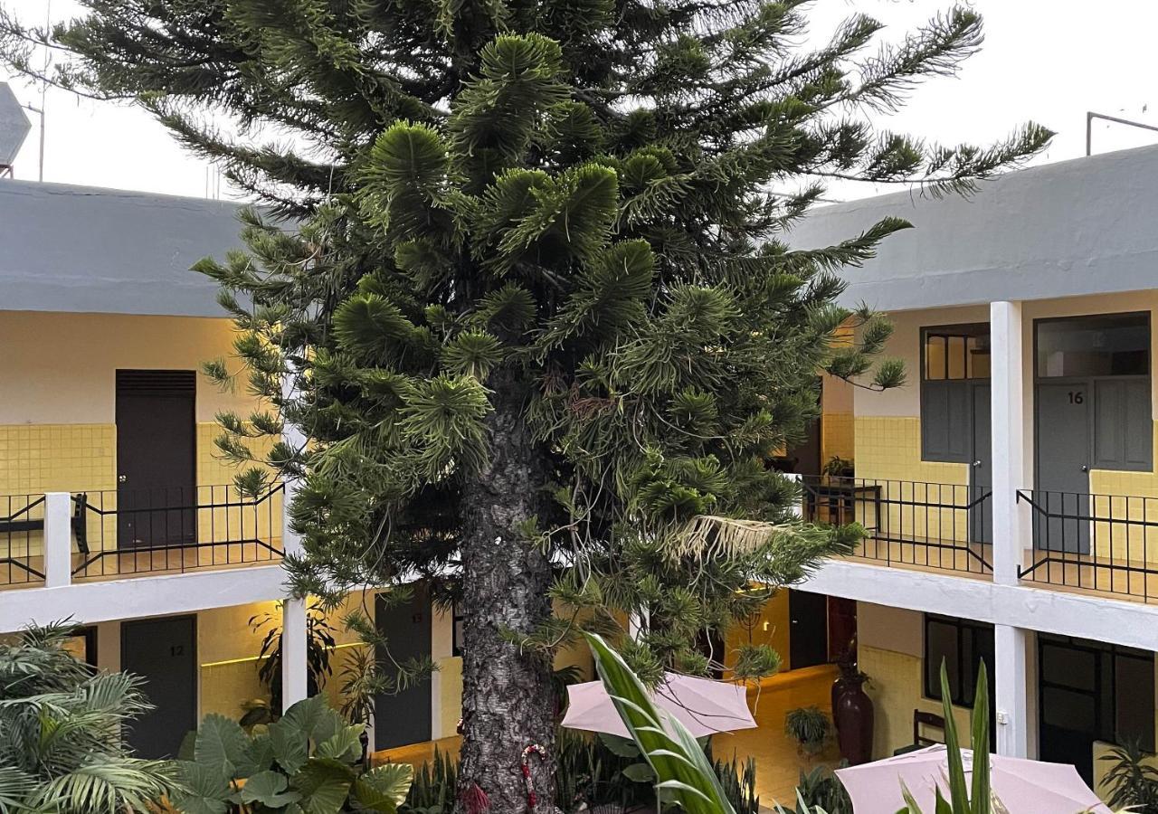 Allende Hotel