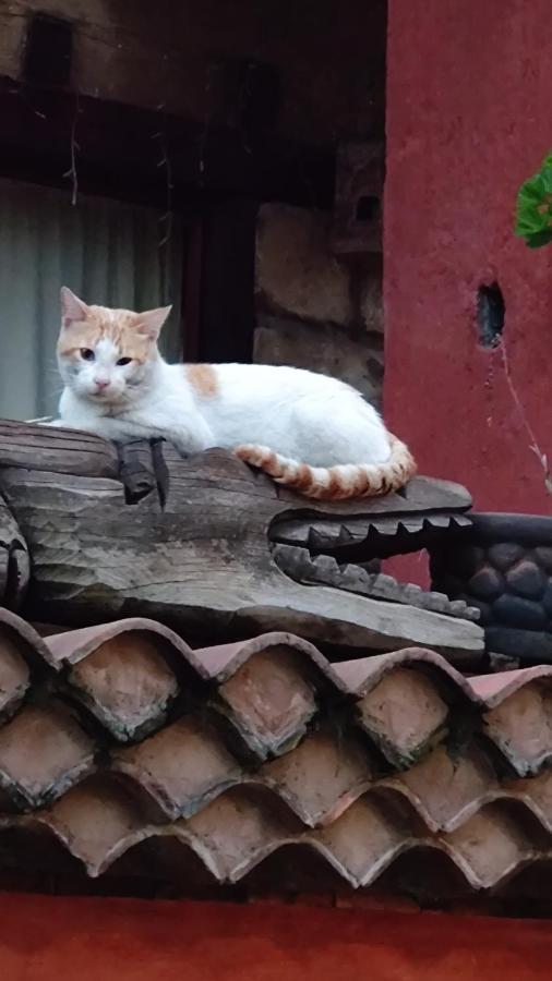 Pensión La Casa Del Morelia