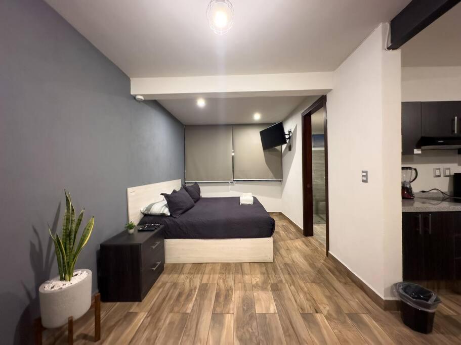 Apartment Loft Moderno Boulevard *
