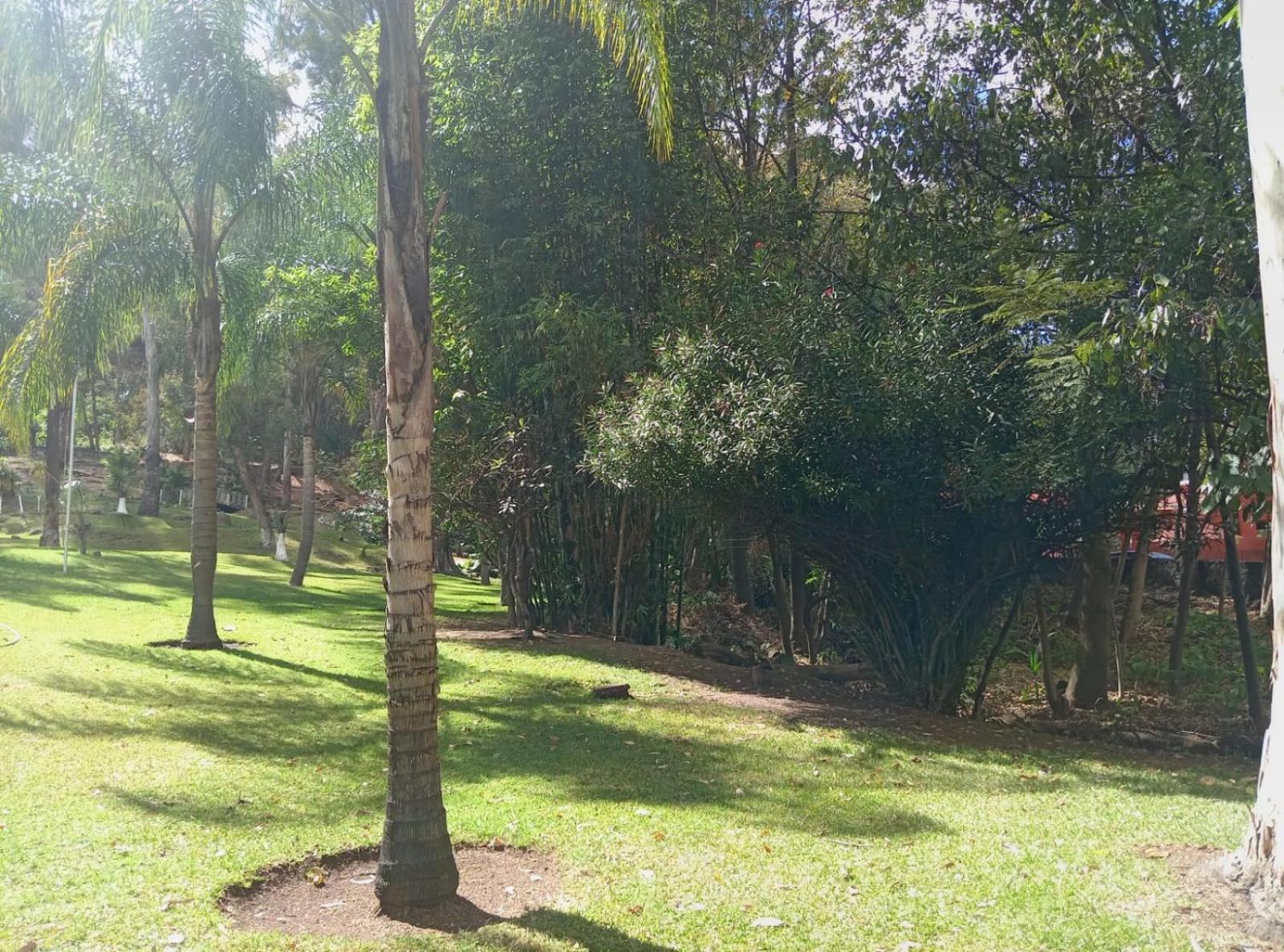 Hotel Punta Galeria