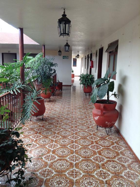Atilanos Morelia