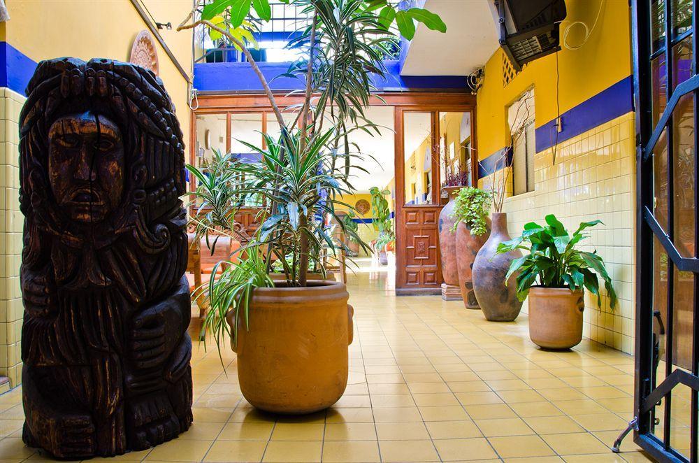 Allende Hotel