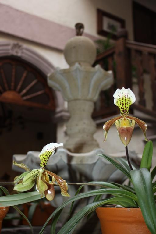 Refugio Victoria Hotel 3*