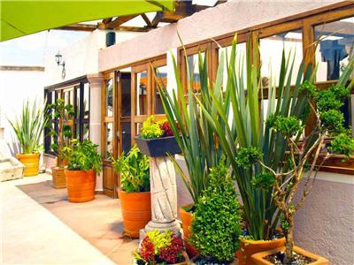 Refugio Victoria Morelia