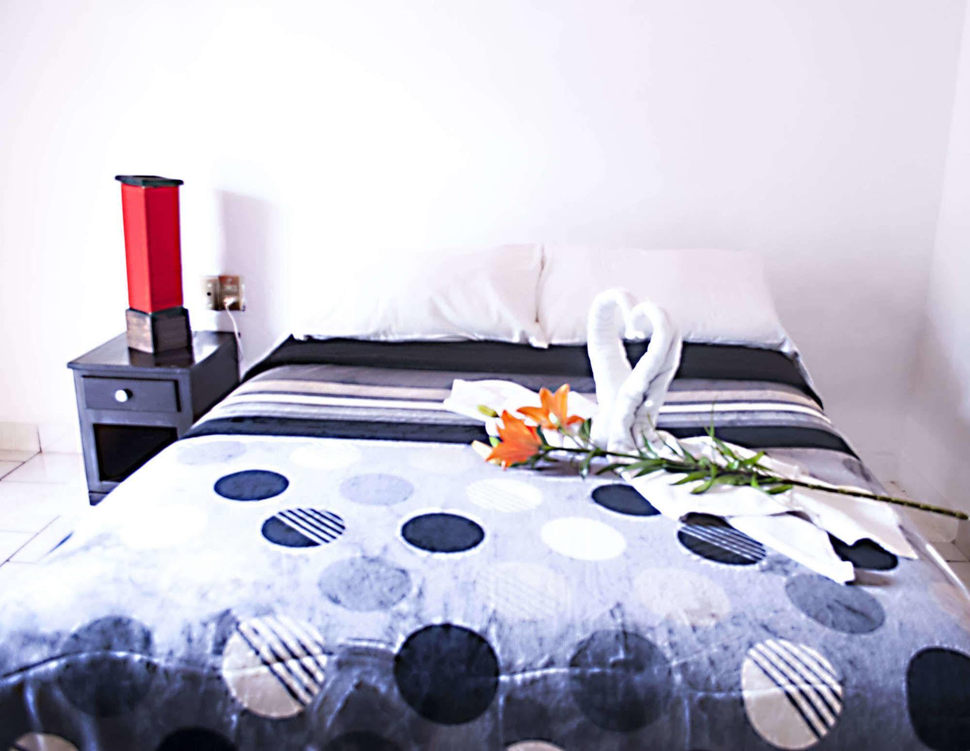 Hotel Allende