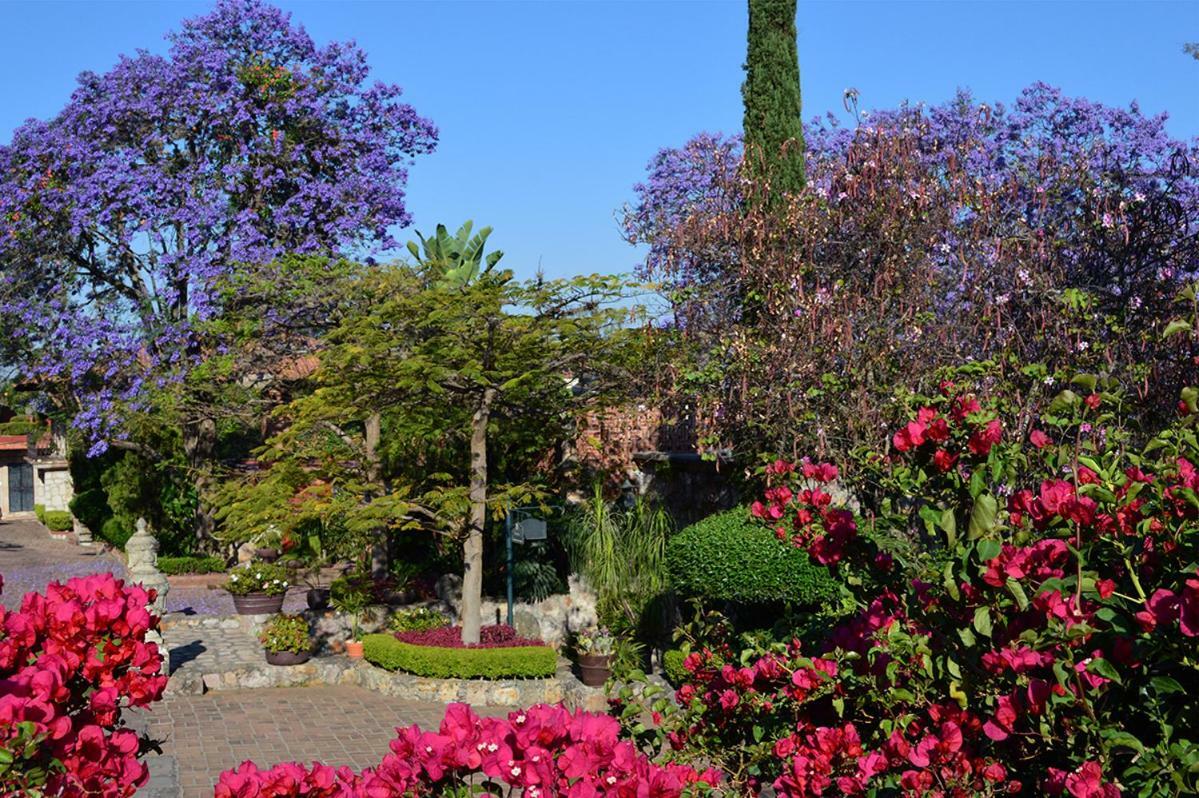 Montaña Hotel&spa 5*