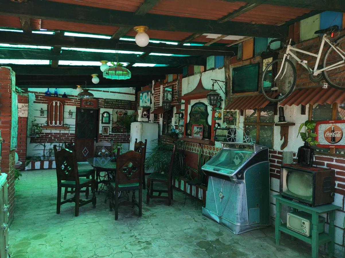 Finca LA MORA