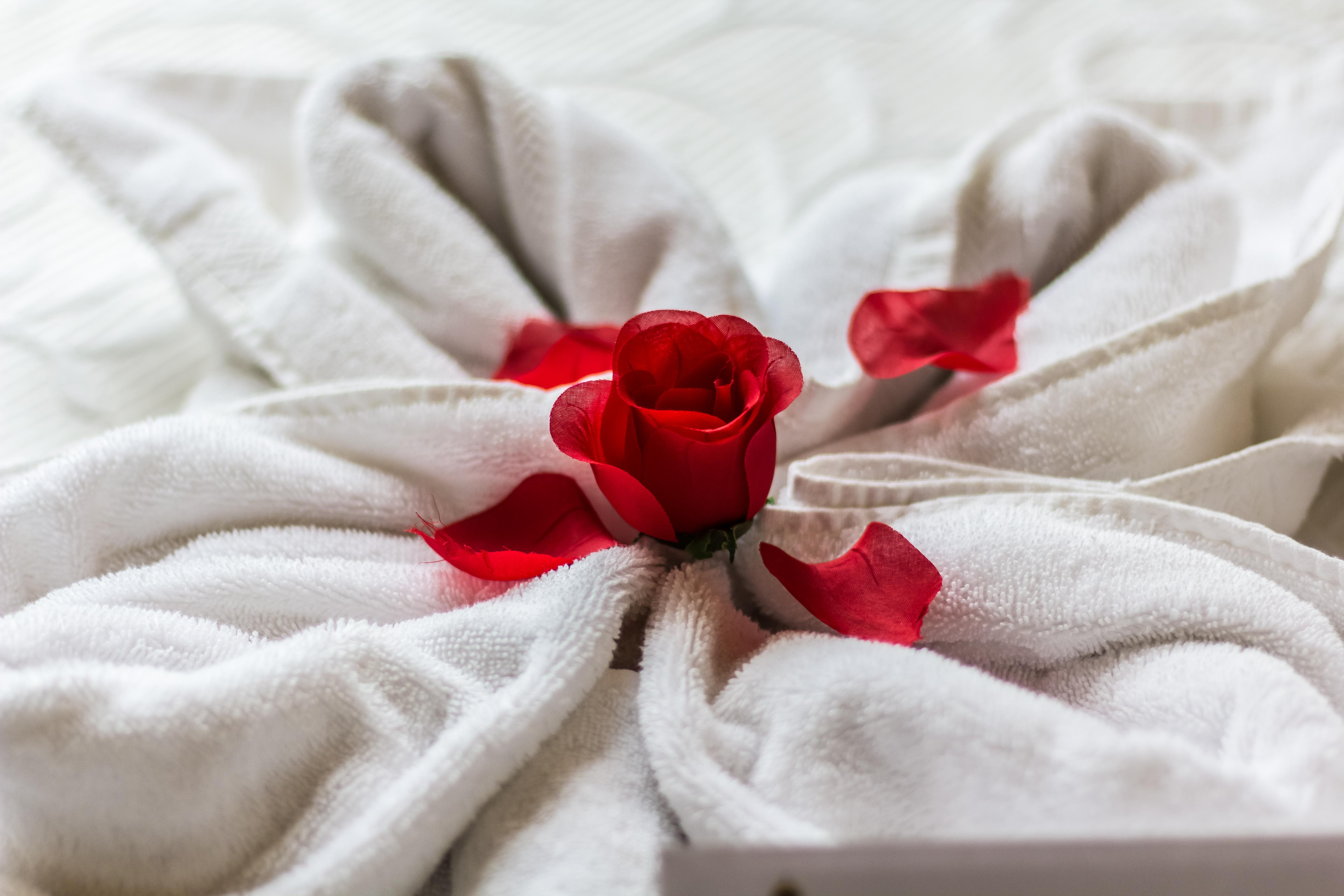 Bed and breakfast Casa Jose Maria 4*