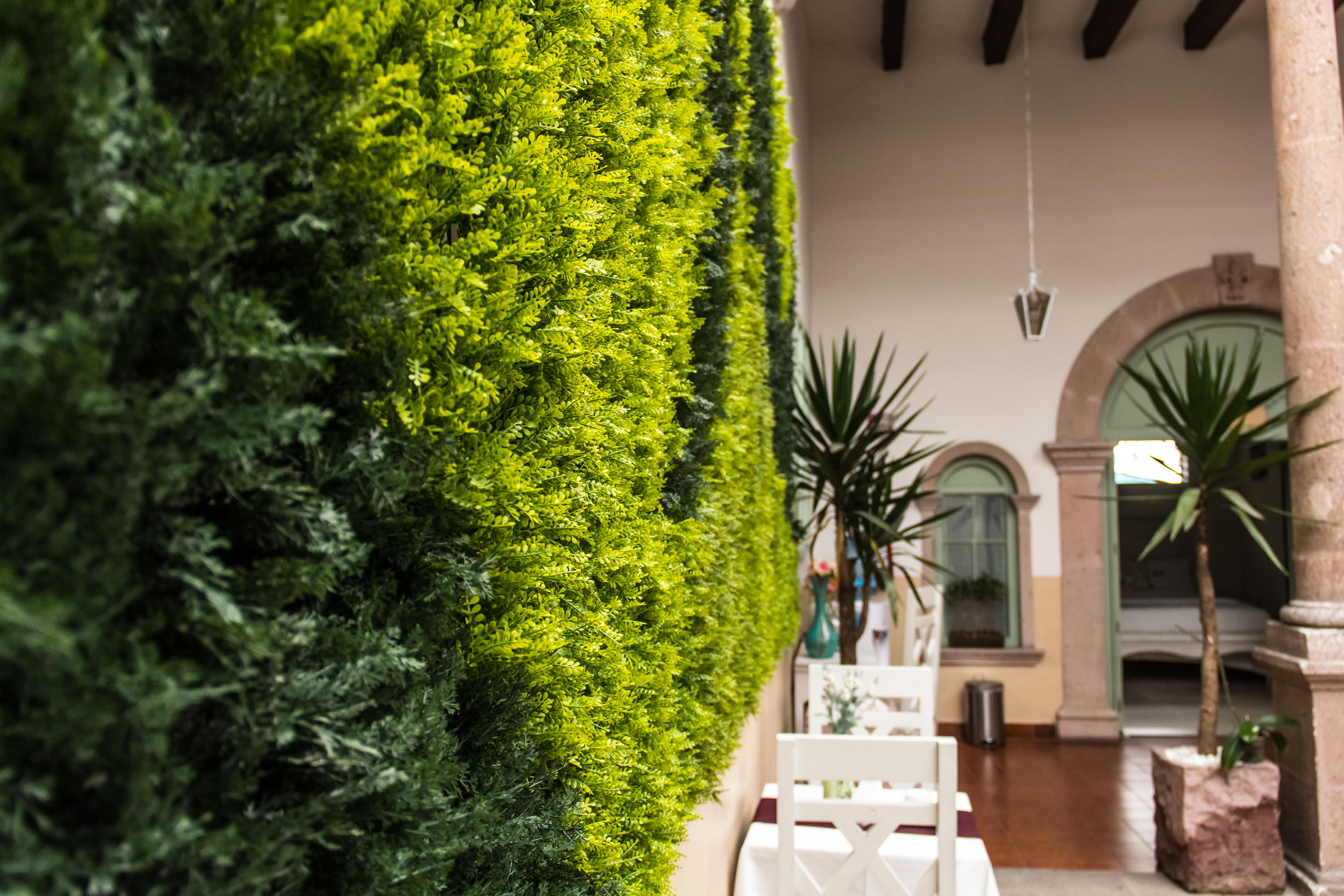 Bed and breakfast Casa Jose Maria 4*