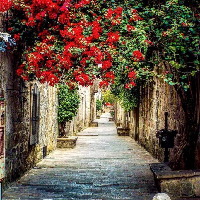 Cozy Boho Downtown Few Blocks From The Cathedral Apartamento Morelia