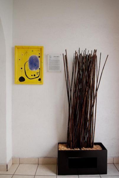 & Galeria 4* Morelia
