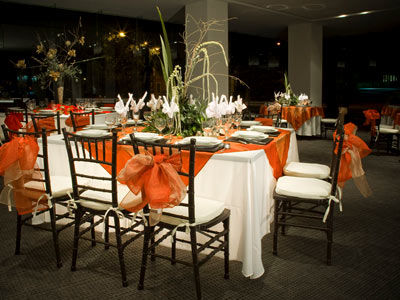 Gamma Belo 3*