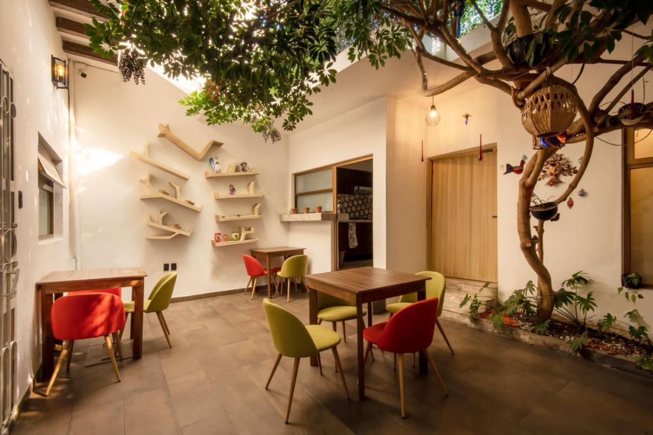 Guest house Corregidora 743