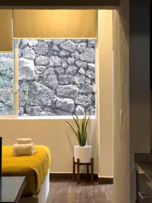 Apartamento Loft Piedra Cantera Morelia