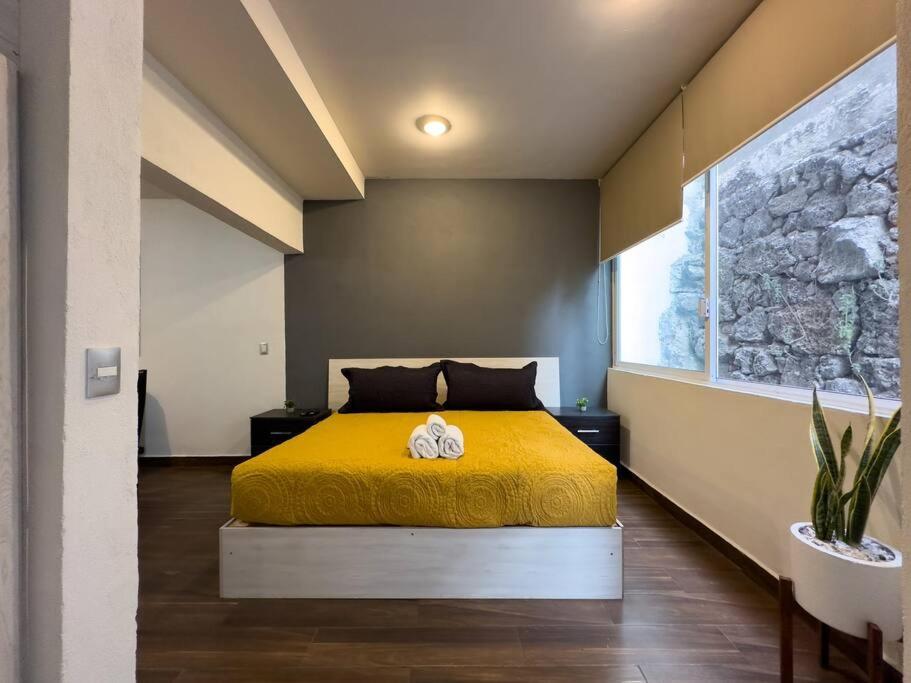 Loft Piedra Cantera Apartamento