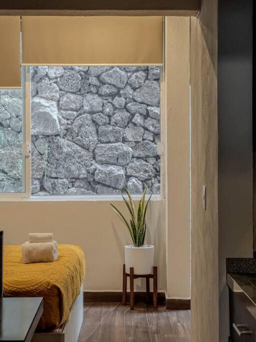 Apartamento Loft Piedra Cantera Morelia