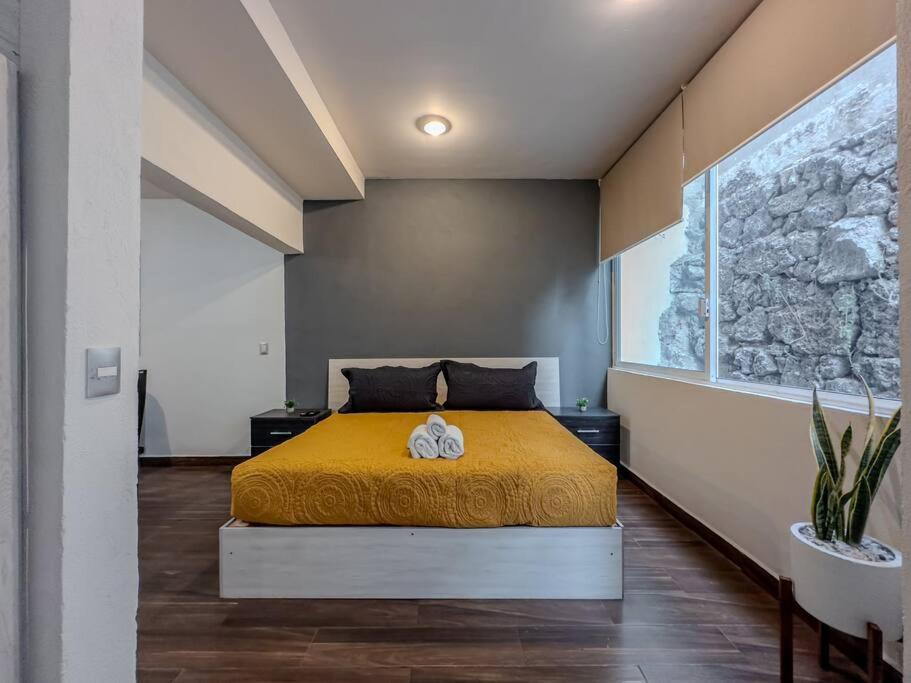 Loft Piedra Cantera Morelia