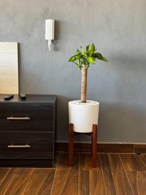 Loft Moderno Boulevard Morelia