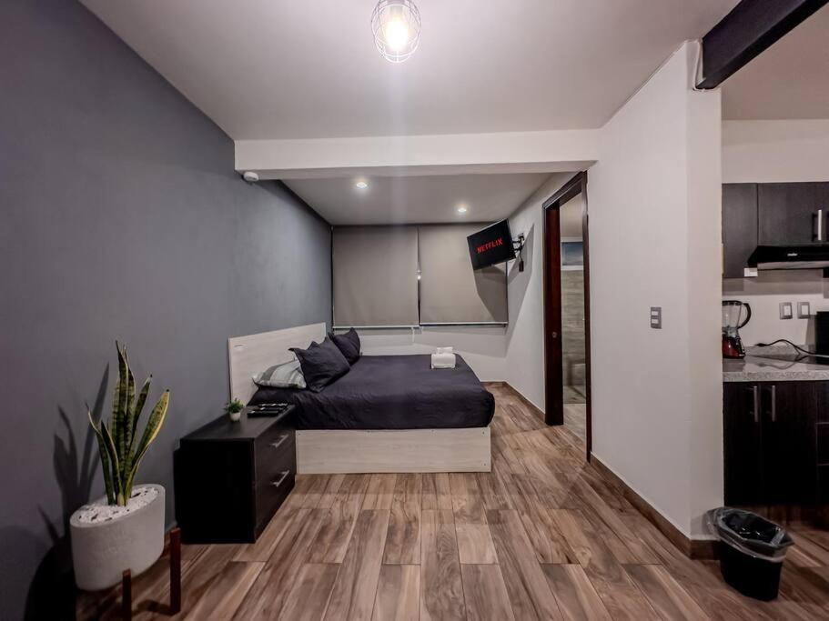 Loft Moderno Boulevard Apartamento