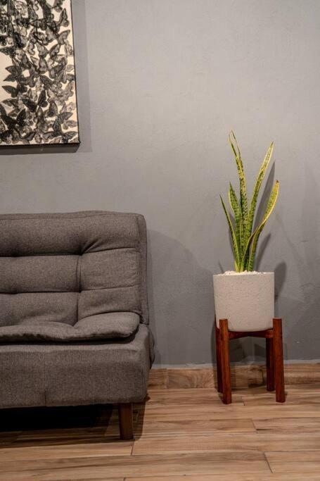 Apartamento Loft Moderno Boulevard *