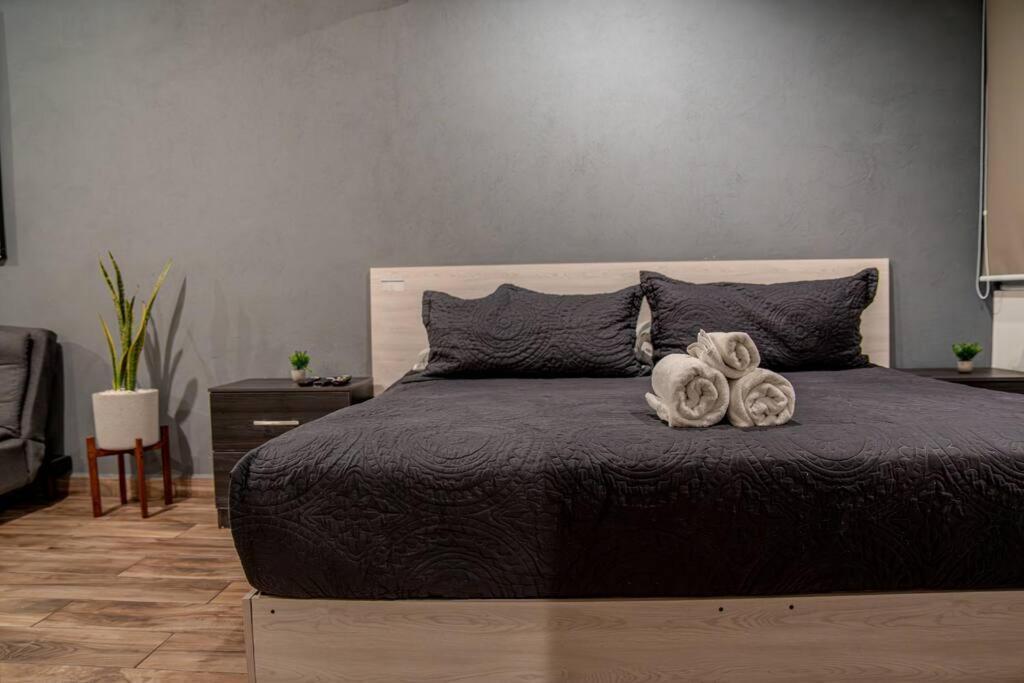 Loft Moderno Boulevard *