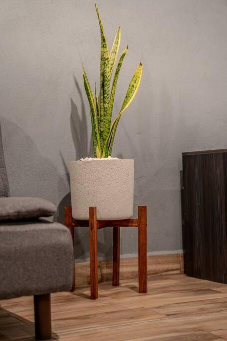 Loft Moderno Boulevard Apartamento