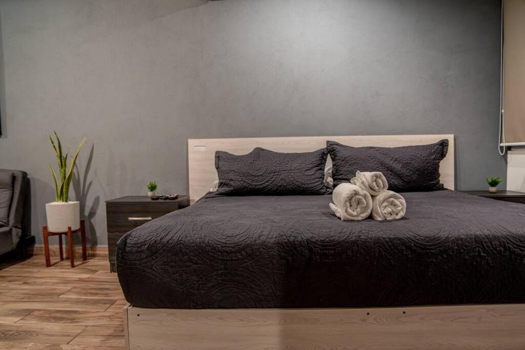 Loft Moderno Boulevard * Morelia