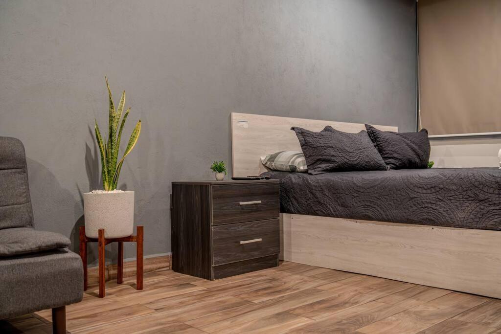 Loft Moderno Boulevard Apartamento
