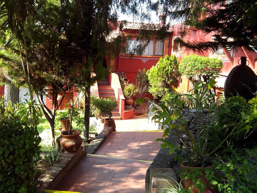 Hotel San Jose & 5*