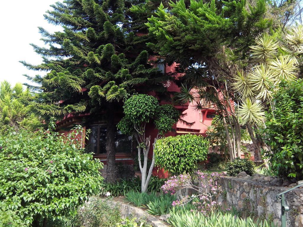 Hotel San Jose &