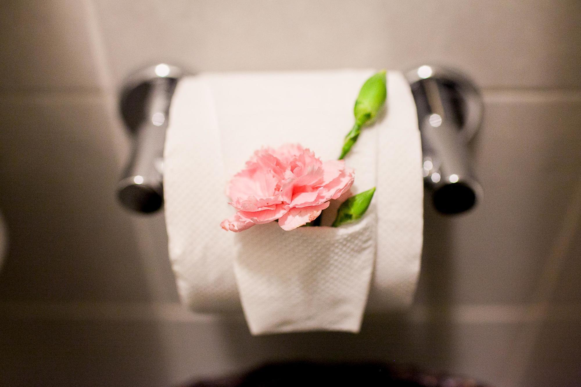 Rosa Barroco 3*