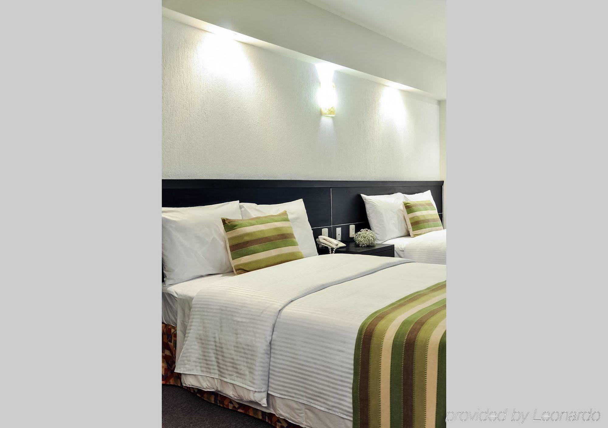 Comfort Morelia