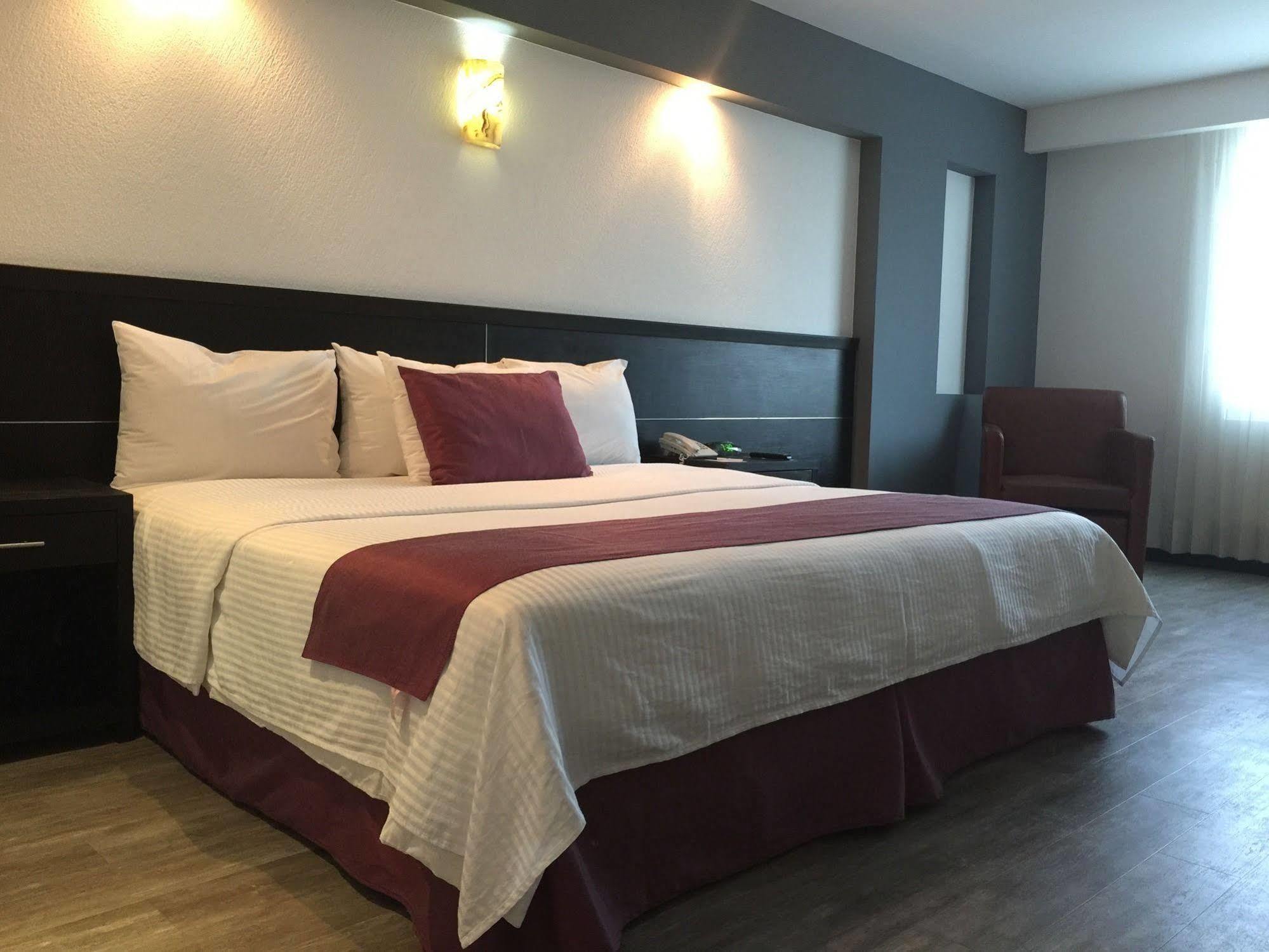 Comfort Morelia