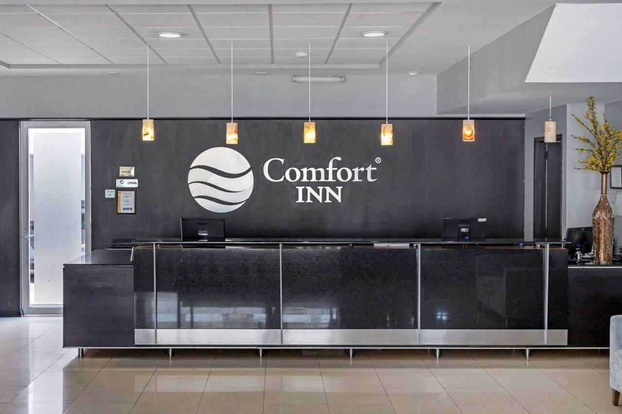 Comfort 3* Morelia