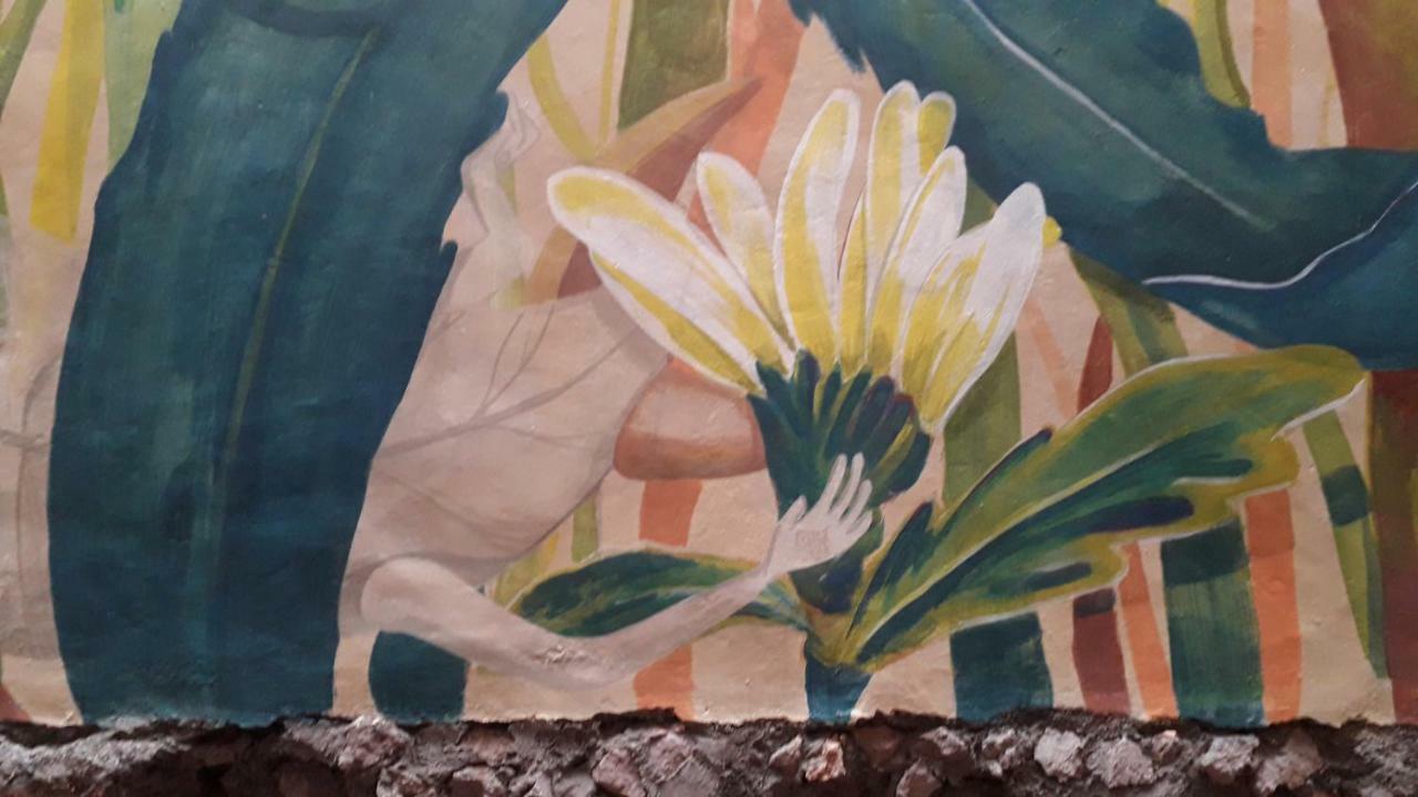 El Laberinto En Casa Pensión Morelia